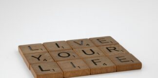 Domain Auctions: Essential Insights Before You Place Your Bid pexels photo 9046697