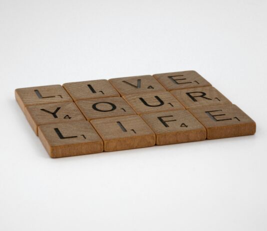 Domain Auctions: Essential Insights Before You Place Your Bid pexels photo 9046697