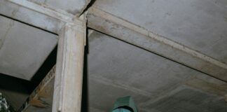 Domain Flipping: How to Master the Balance Between Risk and Reward pexels photo 9724699